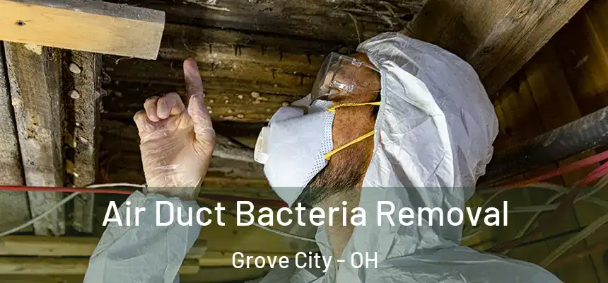  Air Duct Bacteria Removal Grove City - OH