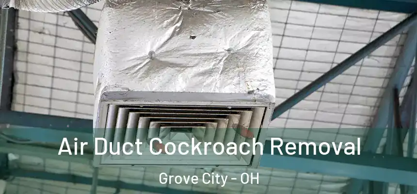  Air Duct Cockroach Removal Grove City - OH
