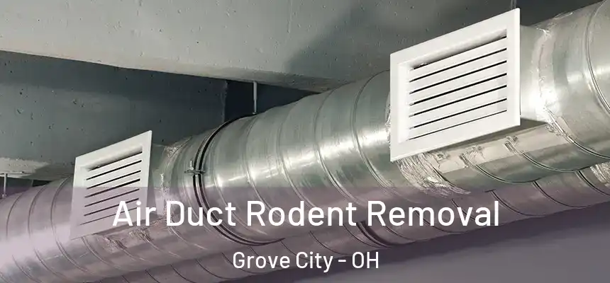  Air Duct Rodent Removal Grove City - OH