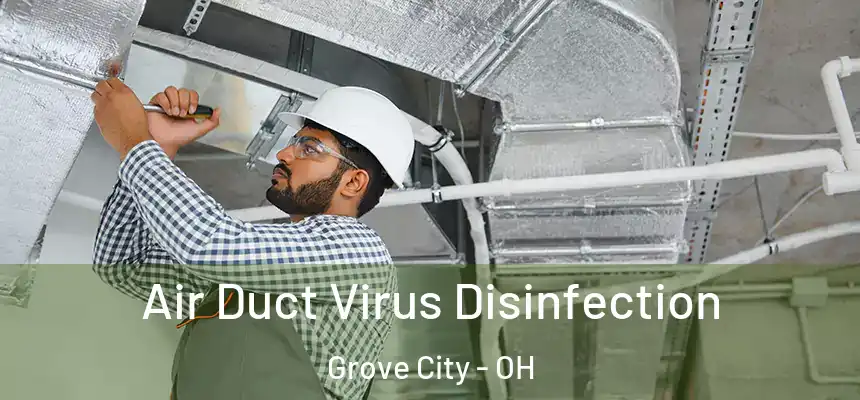  Air Duct Virus Disinfection Grove City - OH