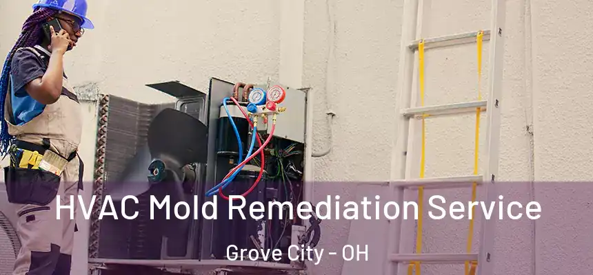  HVAC Mold Remediation Service Grove City - OH