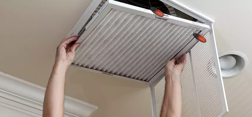 Preventive Cockroach-Proofing for Ducts in Grove City