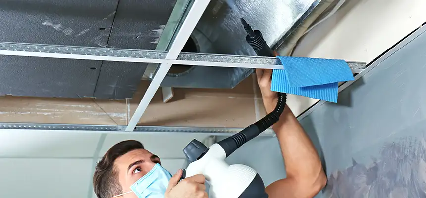 Our Air Duct Rodent Removal Services in Grove City, OH