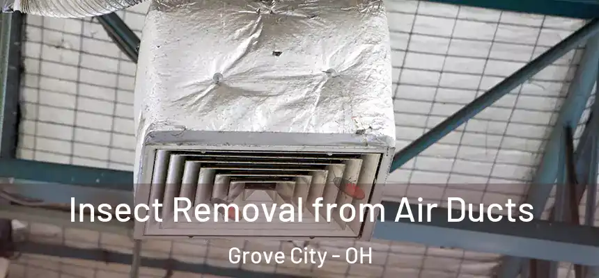 Insect Removal from Air Ducts Grove City - OH