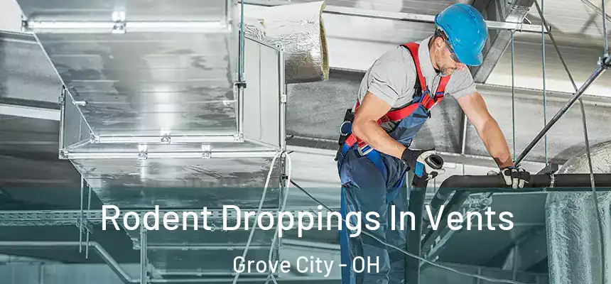  Rodent Droppings In Vents Grove City - OH