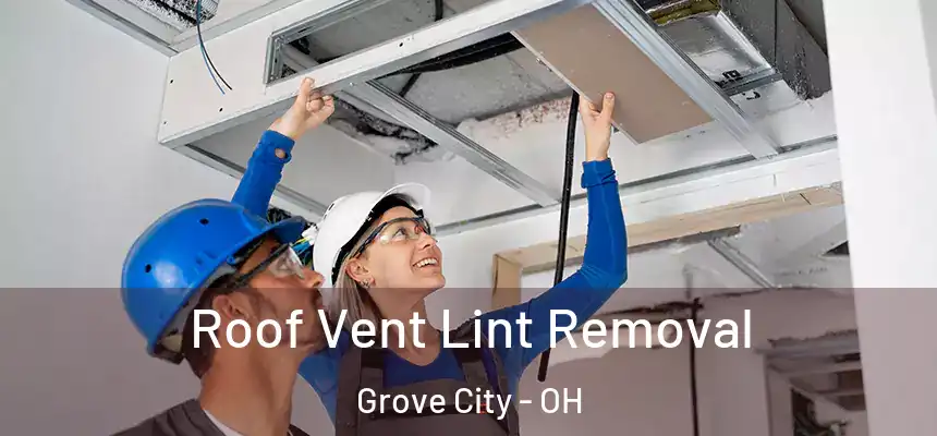  Roof Vent Lint Removal Grove City - OH