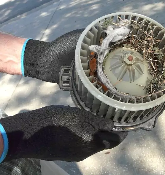 About Air Duct Rat Removal in Grove City, OH