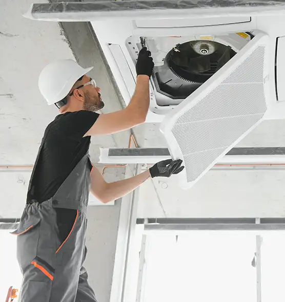 About Air Duct Rodent Removal in Grove City, OH