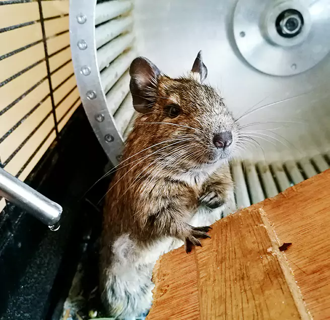 Why Homeowners & Businesses Trust Us Grove City, OH?